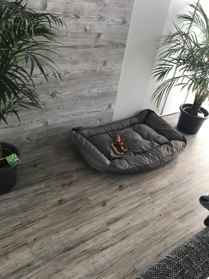 Apartament Jeannette Balingen Zewnętrze zdjęcie